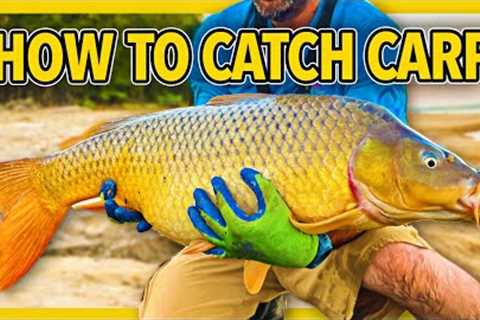 How to catch carp, CHEAP and SIMPLE carp fishing tips