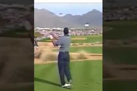 Tiger Woods Hole in one at the WM #shorts #puzzlegolf #tigerwoods #golf #golfswing #holeinone