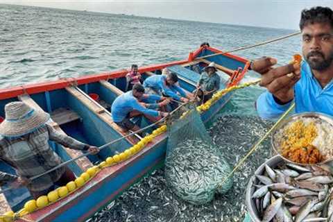 Amazing🤩‼️ Purse Seine Adventures &amp; Cooking The Freshest Seafood❗️| EP-02