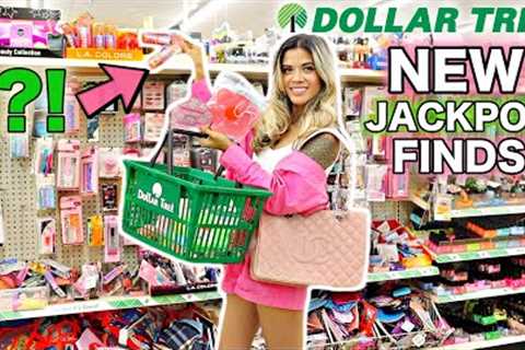*AMAZING* DOLLAR TREE NEW FINDS SHOPPING SPREE! $500 BUDGET
