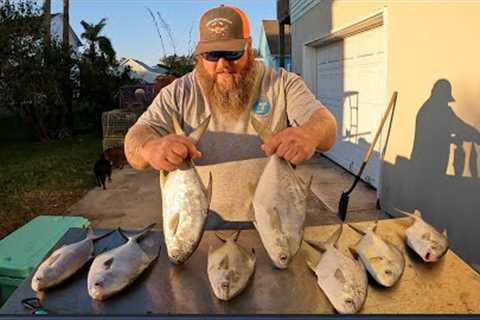 The MOST EXPENSIVE fish in Florida - Pompano!! Catch Clean Cook! We limited out!