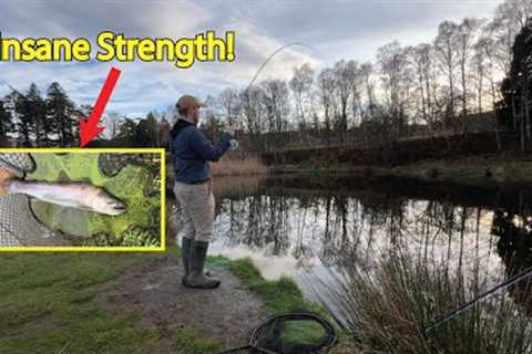 HUGE TIGER TROUT - Winter Trout Fly-Fishing in the Scottish Borders
