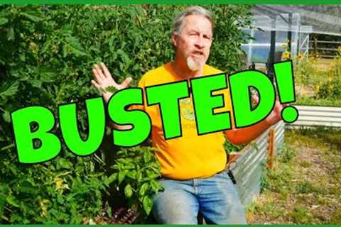 15 Tomato Myths (BUSTED)