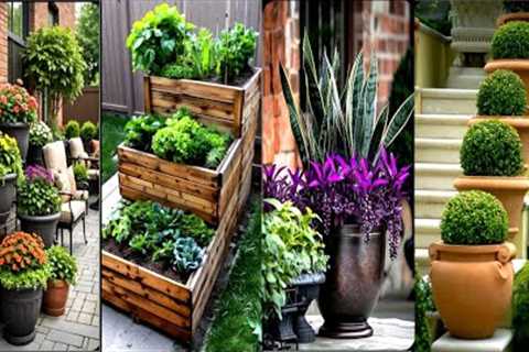 Brilliant Container Gardening Ideas: Transform Your Space with Stunning Pots &amp; Plants!