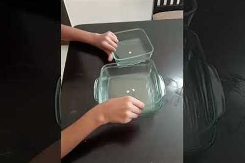 Glass baking dishes for cakes and brownies
