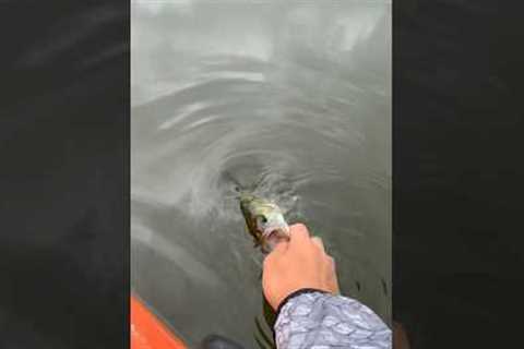 The TRUE meaning of fishing 🎣#fishing #bass #fish