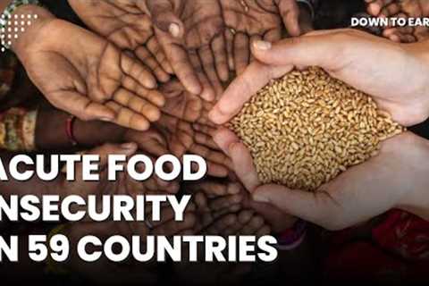 Global food crisis: 1 in 5 people in need of urgent action