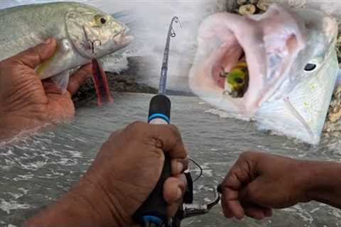 3 Best Ultralight Lures For Catching Bluefin Trevally Tips For Beginners In Hindi