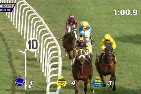 GALAHAD: THE CHIEF MINISTER'S TROPHY(79)