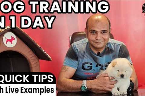 Easy Puppy or Dog Training in 1 Day || 6 Quick Tricks &amp; Tips with LIVE Example || Baadal..