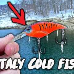 BRUTALLY COLD Winter Bass Fishing (DON’T get DISCOURAGED!)