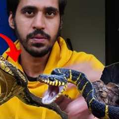 'EXPOSING EXOTIC PETS of India with Elvish Yadav Case'