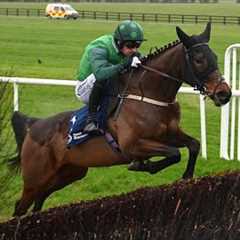 It's FUN FUN FUN for Patrick Mullins at Naas!