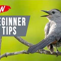 Bird Photography for Beginners: 4 Unusual Tips