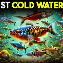 Top 21 Cold Water Fish for Your Aquarium That Wow