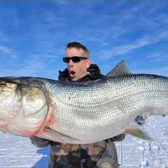 4 Day Fishing + Hunting Catch & Cook in an Inuit Village (Best Ice Fishing in the World)