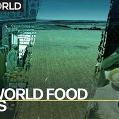 The World Food Crisis