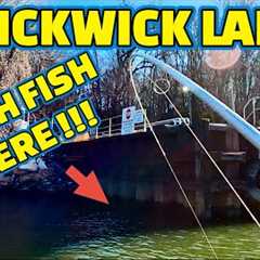 EXTREMELY AGGRESSIVE FISH BITE !! Fishing PICKWICK LAKE on TENNESSEE RIVER ( Mr. JIMMY)