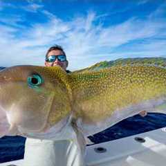 GIANT Mud Fish in 800ft of water! Catch Clean Cook (Golden Tilefish)