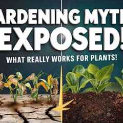 Gardening Myths Debunked: What Really Works?