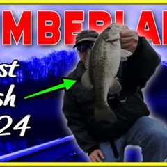 Lake Cumberland Winter Bass Fishing | Last Fish of 2024