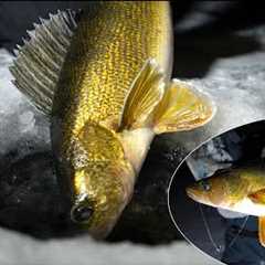 MUST KNOW TIPS  for Ice Fishing FINICKY Walleyes!