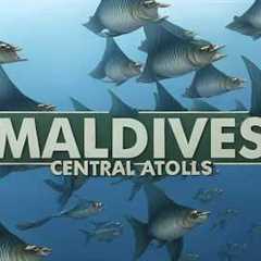 Scuba diving in Maldives - All you can see