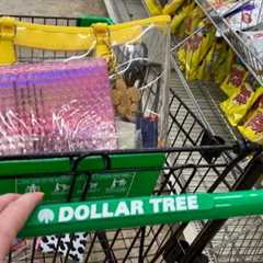 Dollar Tree Summer Shopping Spree! (No talking version) 4th of July shopping & summer fun~ASMR