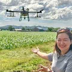 Revolutionizing Philippine Agriculture using Agricultural Drone. Agribusiness How It Works