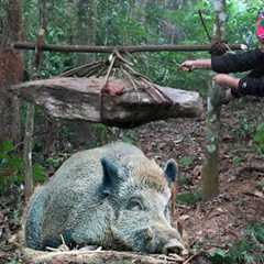 3 days of survival alone in the forest, building a shelter, and skills to trap wild boars