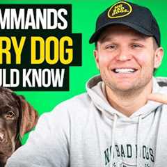 Top 5 Dog Commands Every Owner Must Teach (Pro Dog Trainer Tips)