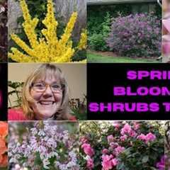 Garden Design Ideas-Spring Blooming Shrubs