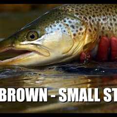 Huge Brown Trout in a Small Stream - Fly Fishing