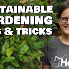 Sustainable Gardening Tips & Tricks