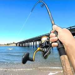 7 Days Fishing in Florida.. Eating Whatever I Catch (Catch and Cook)