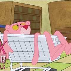 Shop Pink Spree | Pink Panther and Pals