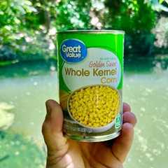 Corn Could be the Best Panfish Bait Ever!