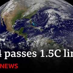 2024 first year to pass 1.5C global warming limit | BBC News