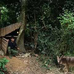 Building a Warm Secret Shelter deep inside a giant tree, tree house. Bushcraft Survival Shelter