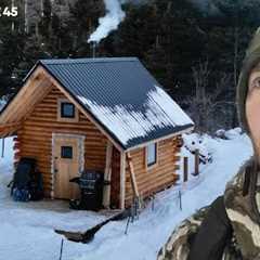 Log Cabin Build on Off-Grid Homestead |EP45| Winter Storm Struggles