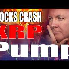 XRP Ripple PUMP! STOCK MARKET CORRECTION!  Martyn Lucas Investor