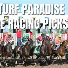 Live Racing From Turf Paradise and Picks