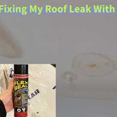 Fix ANY ROOF LEAK in Minutes with Flex Seal!