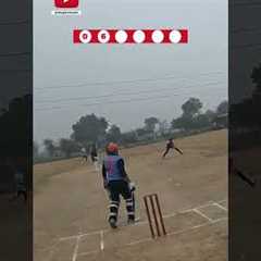 Pacer vs Batsman ⚡💥 A Fierce Fight Unfolds I #cricket #trending #cricketlover #youtubeshorts..