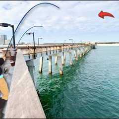 Fishing Cut Bait on This GULF PIER to Catch Dinner! *Catch & Cook*