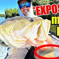 Watch THIS BAIT become my #1 Winter Fishing Weapon!