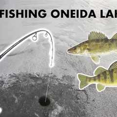 Hooked a GIANT! Ice Fishing Oneida Lake for Walleye and Perch