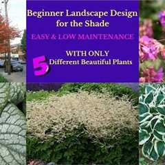 Landscape Design Ideas:  Beginner Shade Garden