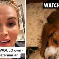 Vet goes viral after revealing the best and worst dog breed