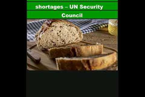 One in five Ukrainian families faces food shortages – UN Security Council|Shorts